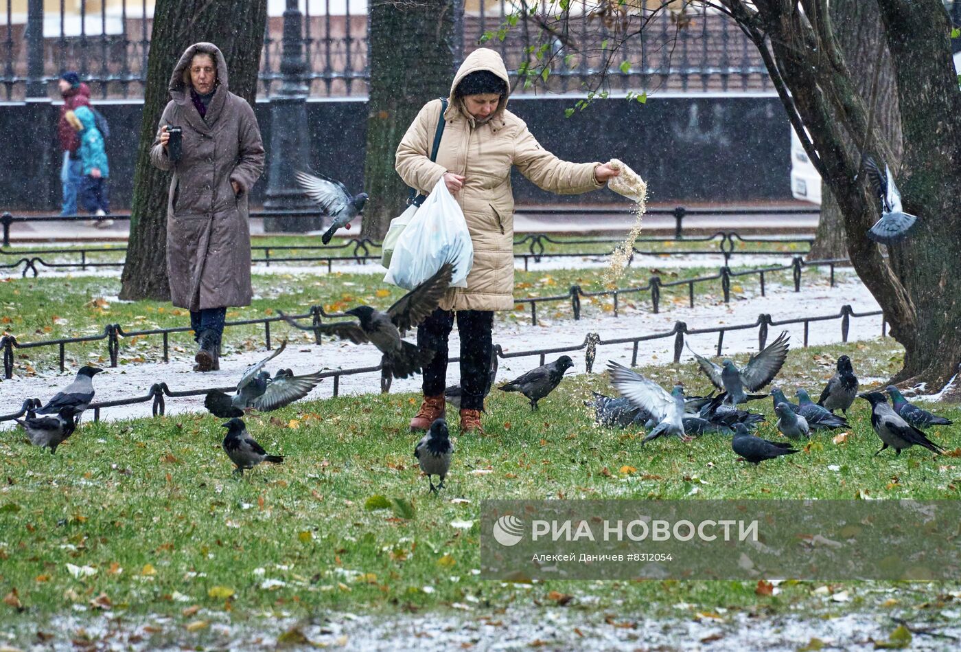 Снег в Санкт-Петербурге