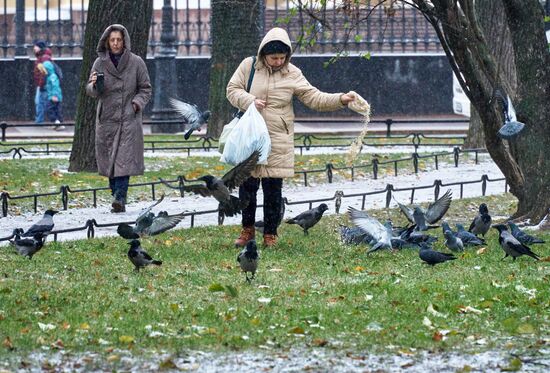 Снег в Санкт-Петербурге