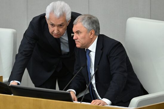 Пленарное заседание Госдумы РФ 