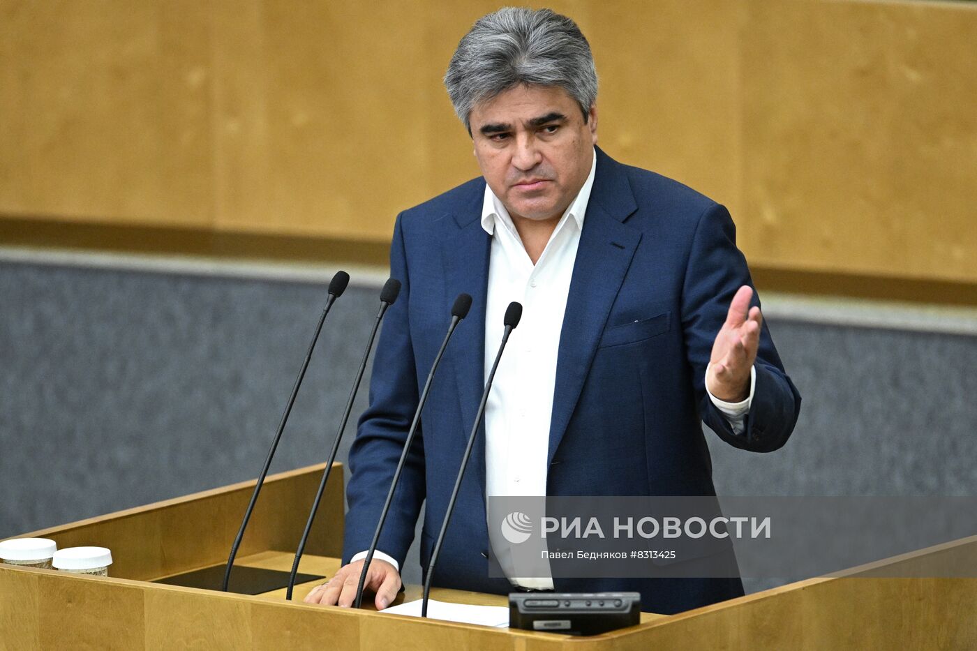 Пленарное заседание Госдумы РФ