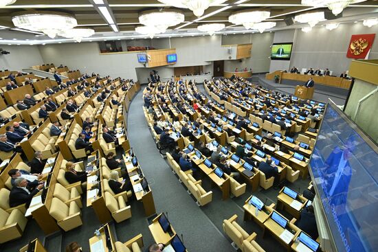 Пленарное заседание Госдумы РФ 