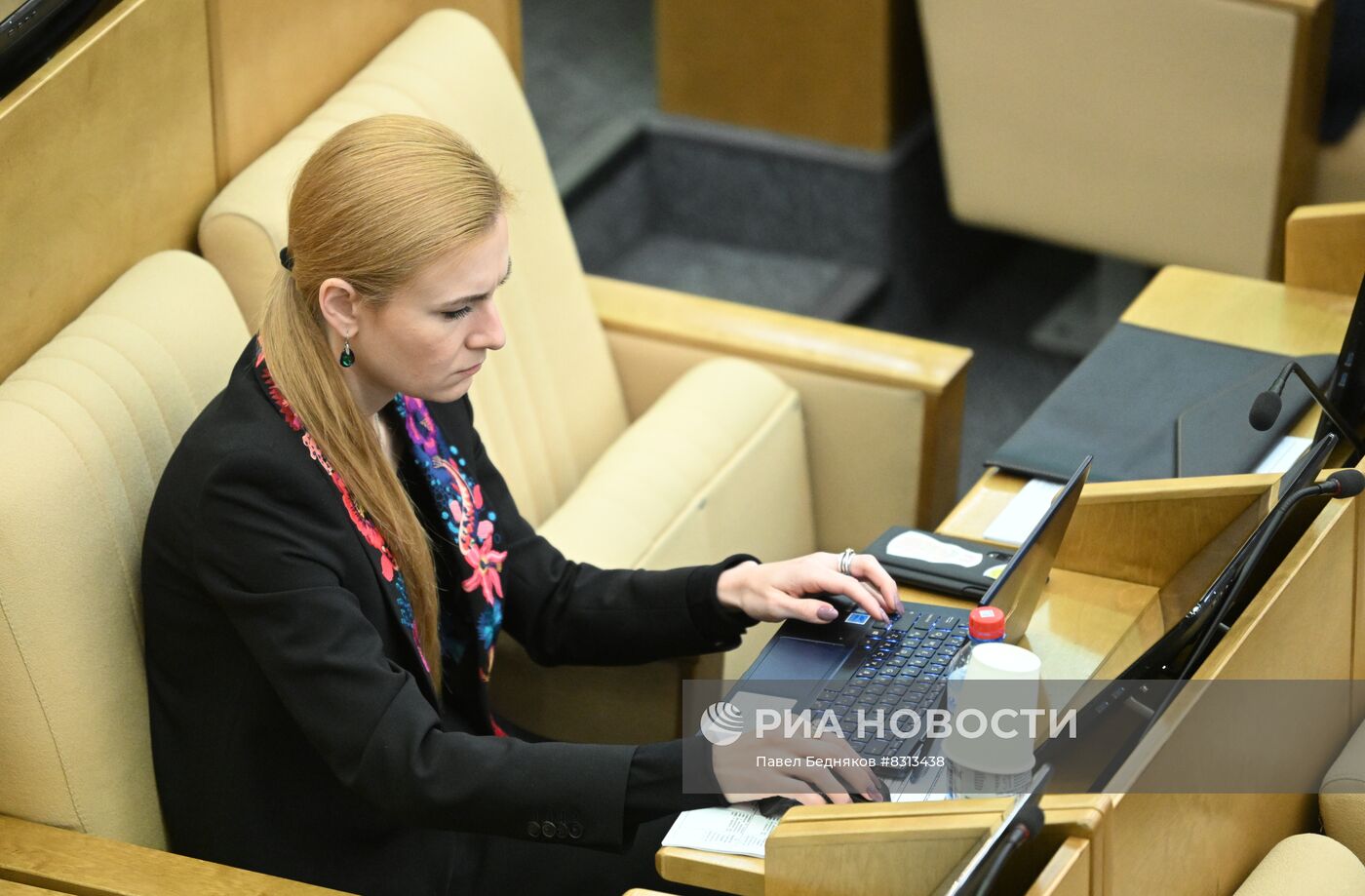 Пленарное заседание Госдумы РФ