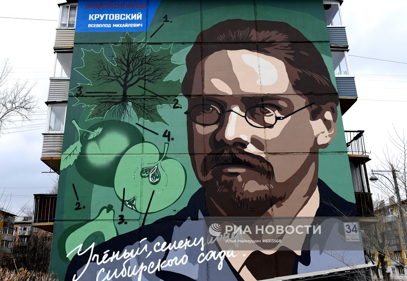 Муралы проекта "Галерея сибирской славы - мы красноярцы"