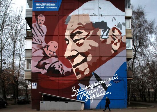 Муралы проекта "Галерея сибирской славы - мы красноярцы"