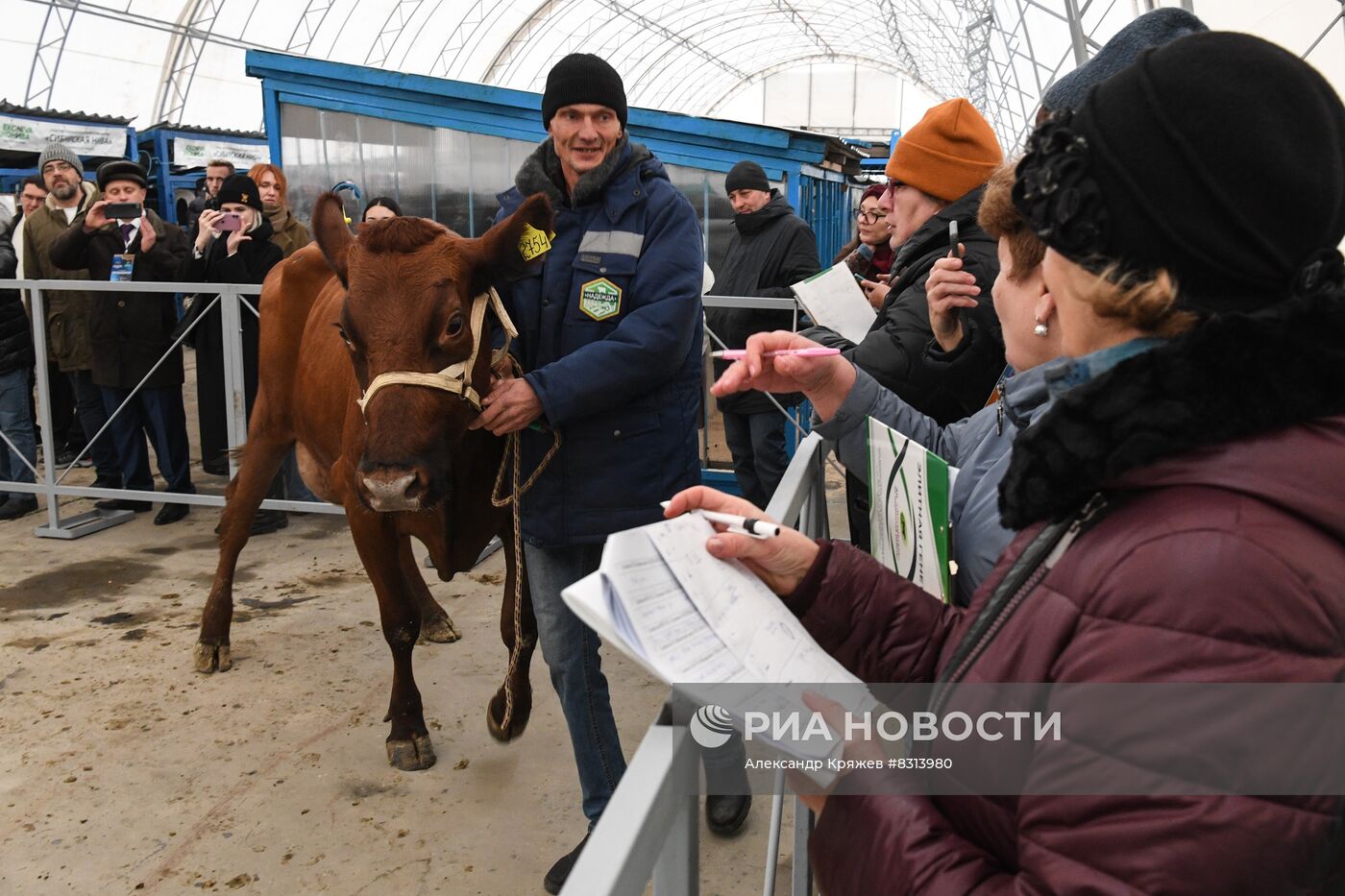 Выставка племенных животных "Сила Сибири - 2022" в Новосибирске