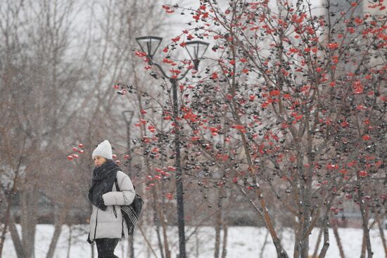 Снег в Новосибирске