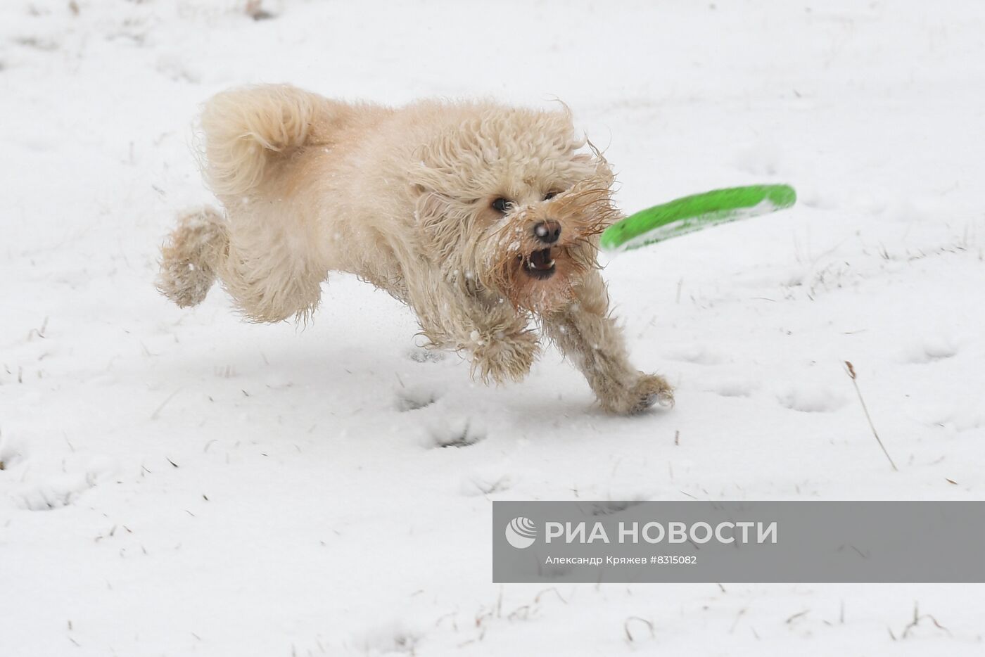 Снег в Новосибирске