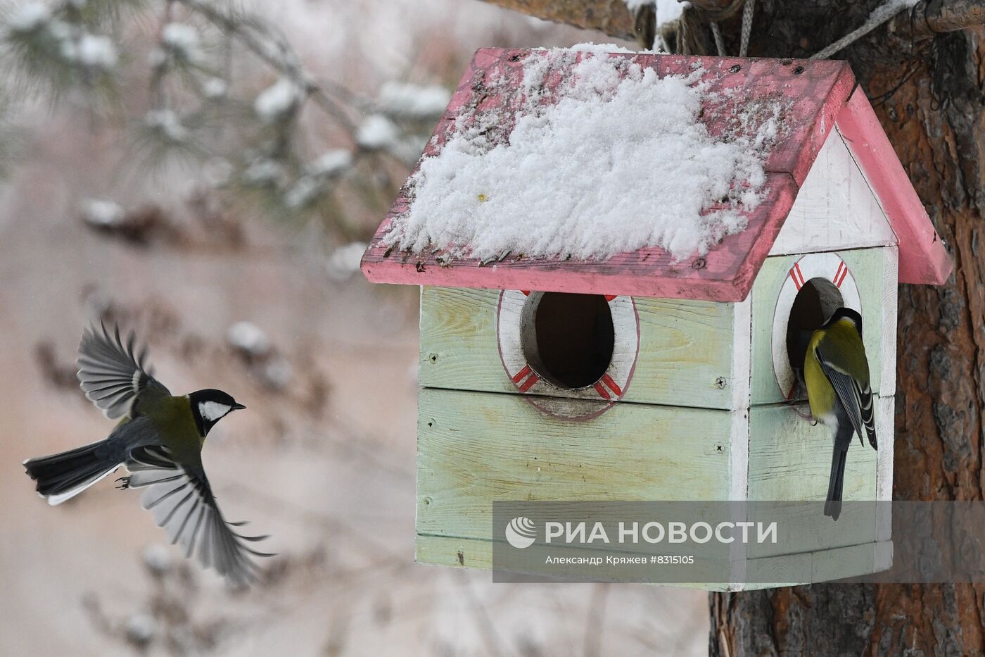 Снег в Новосибирске