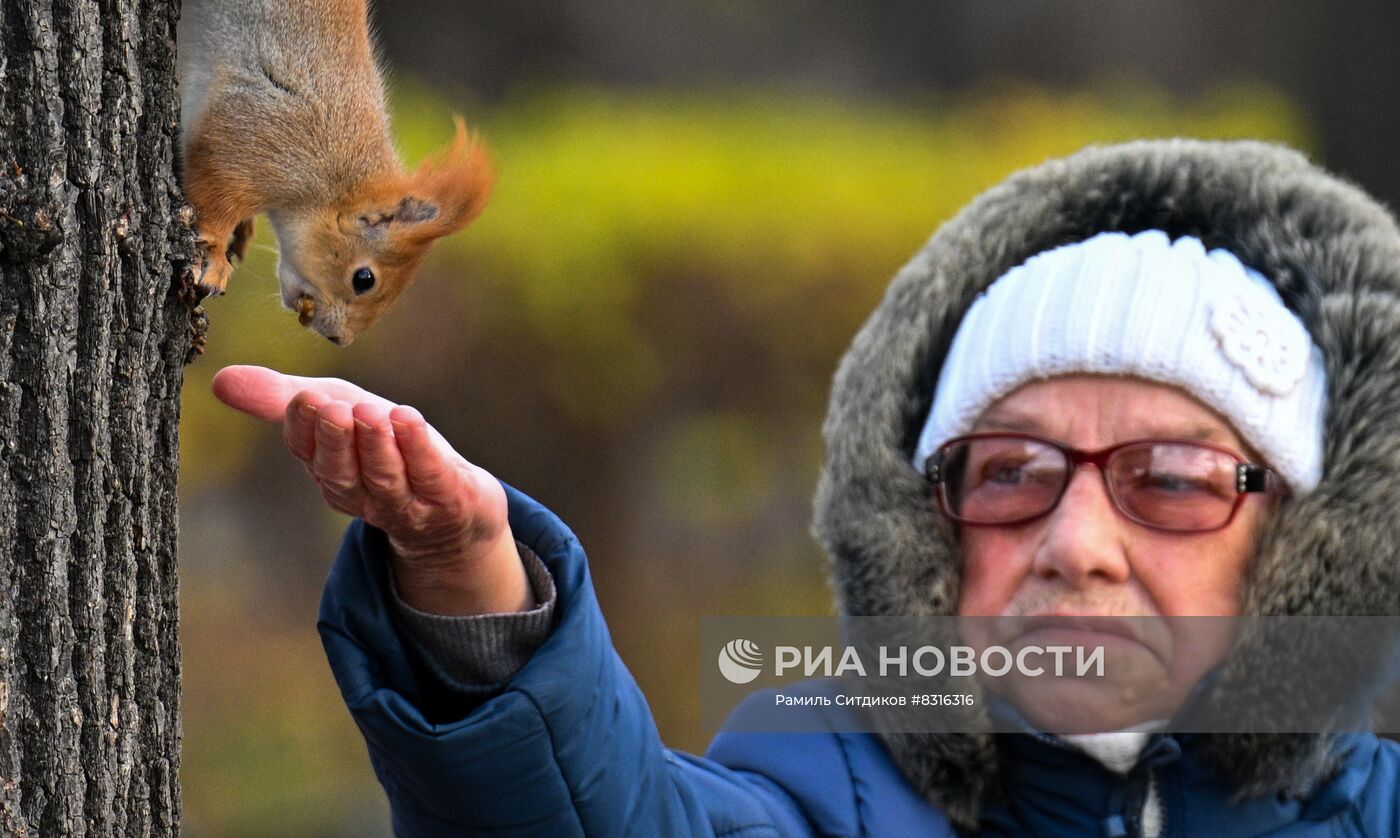 Теплая погода в Москве