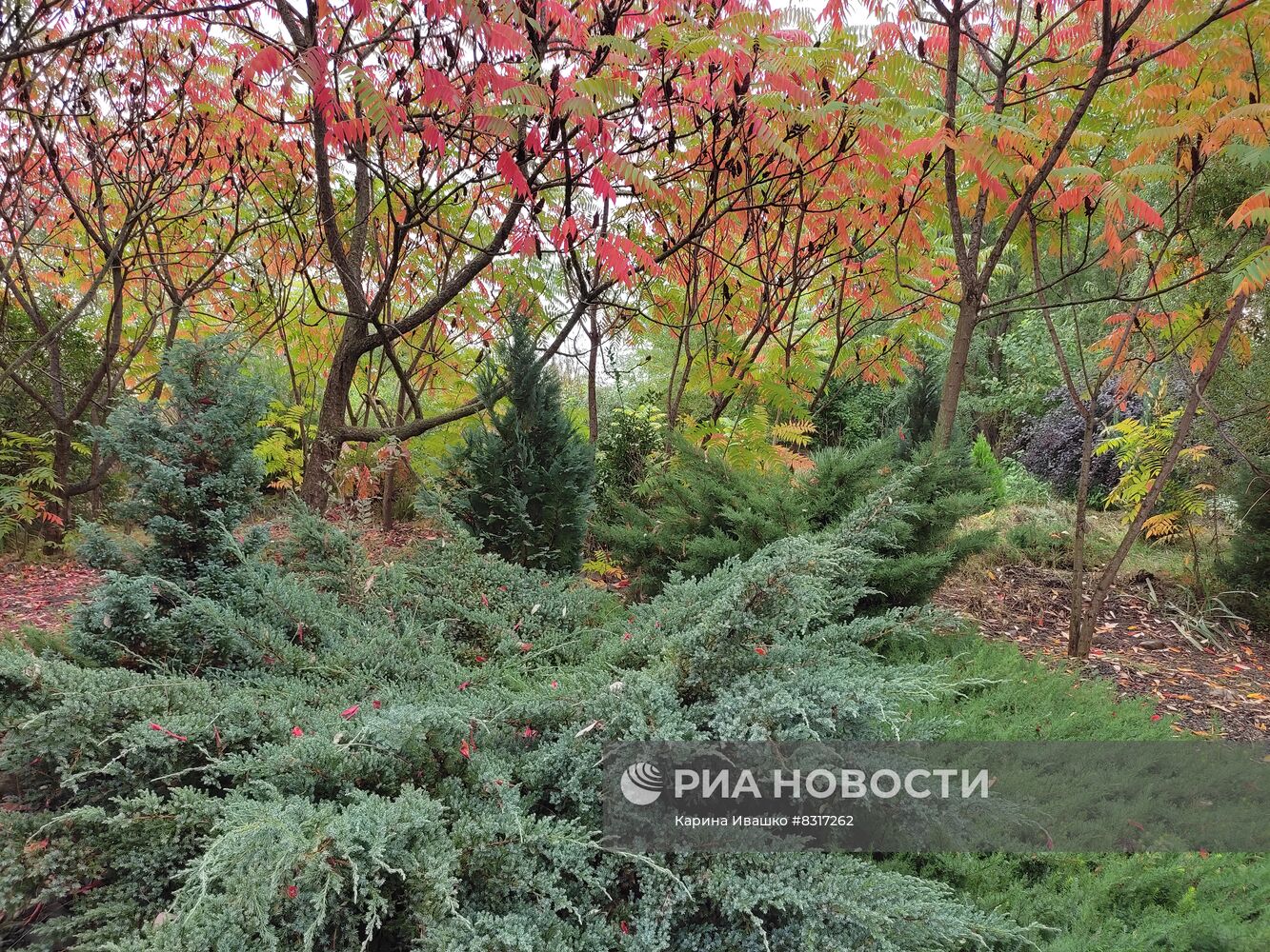 Регионы России. Краснодарский край. Лабинский район