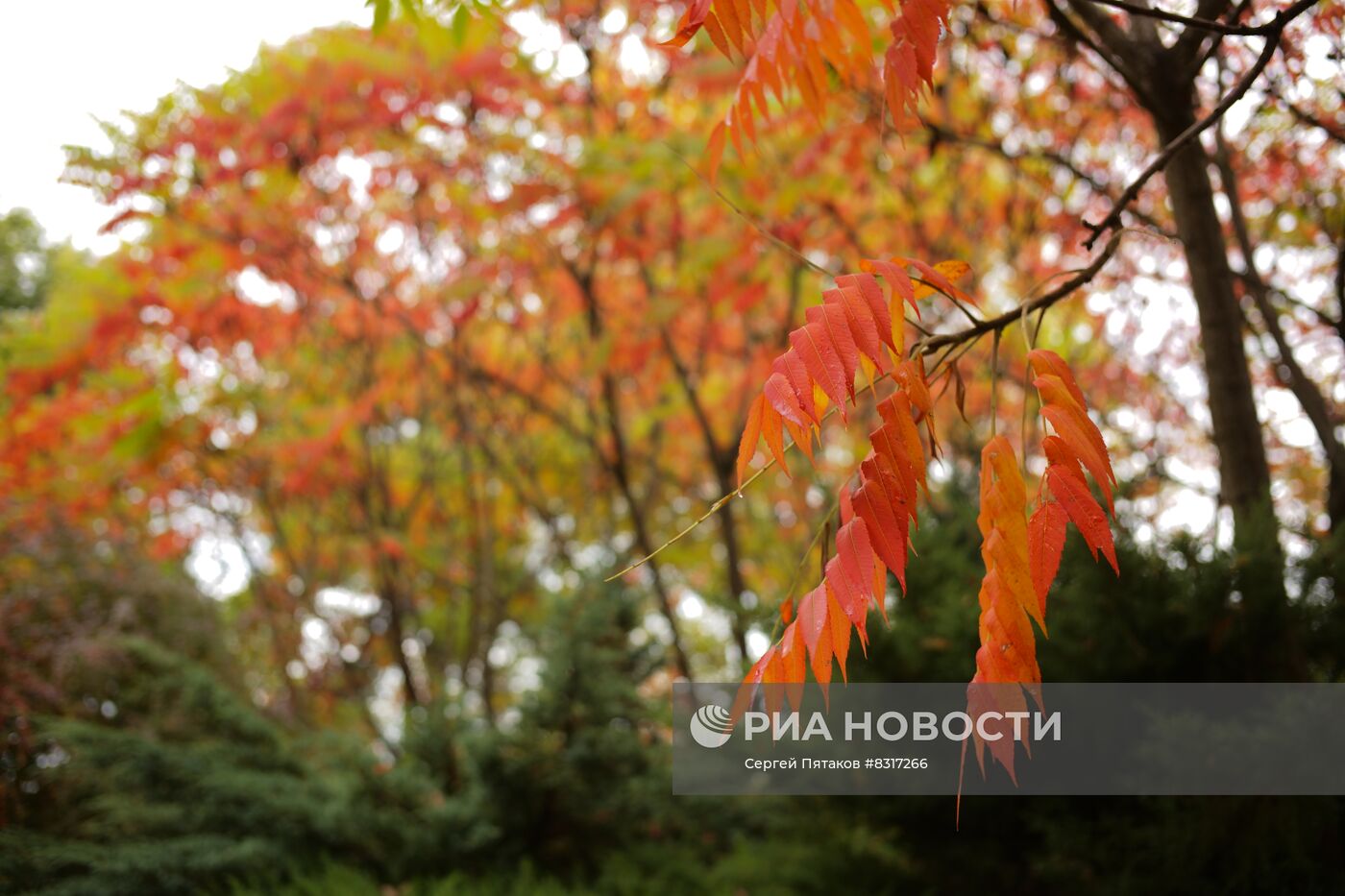 Регионы России. Краснодарский край. Лабинский район