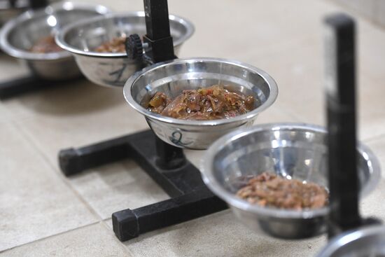 Производство кормов для домашних животных 