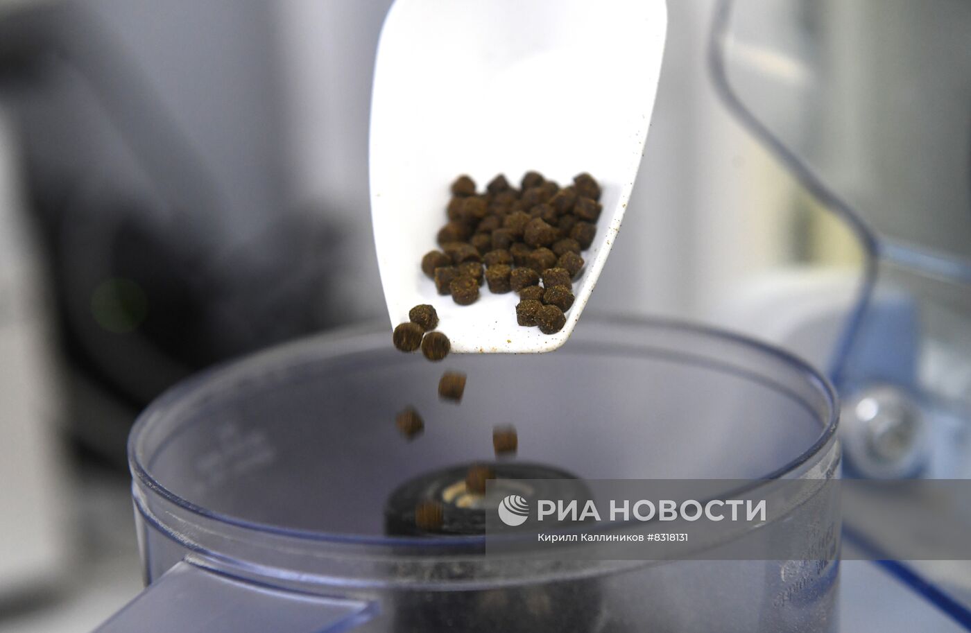 Производство кормов для домашних животных