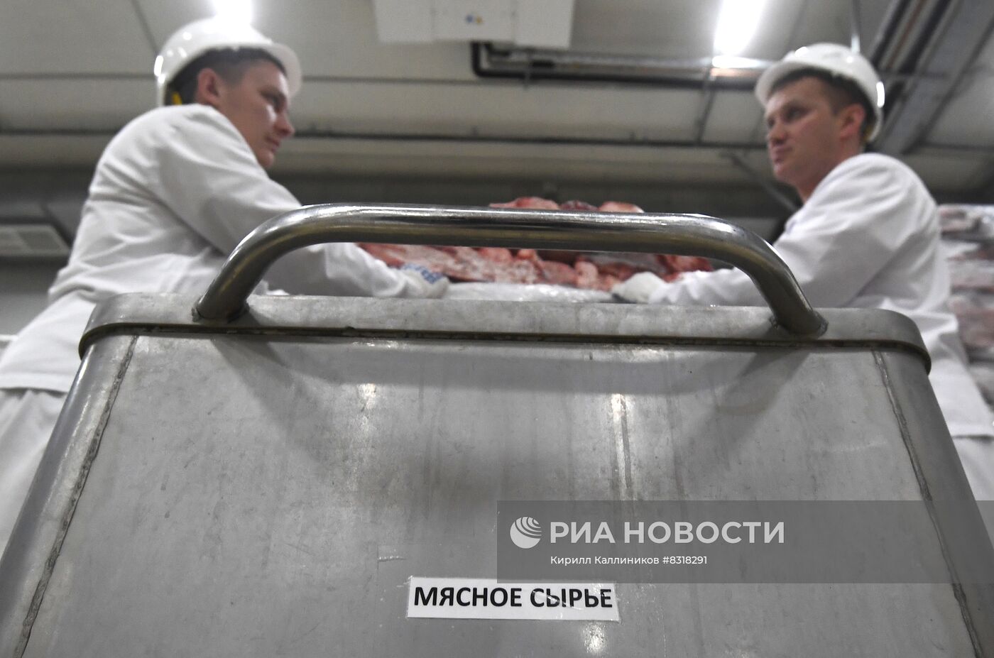 Производство кормов для домашних животных