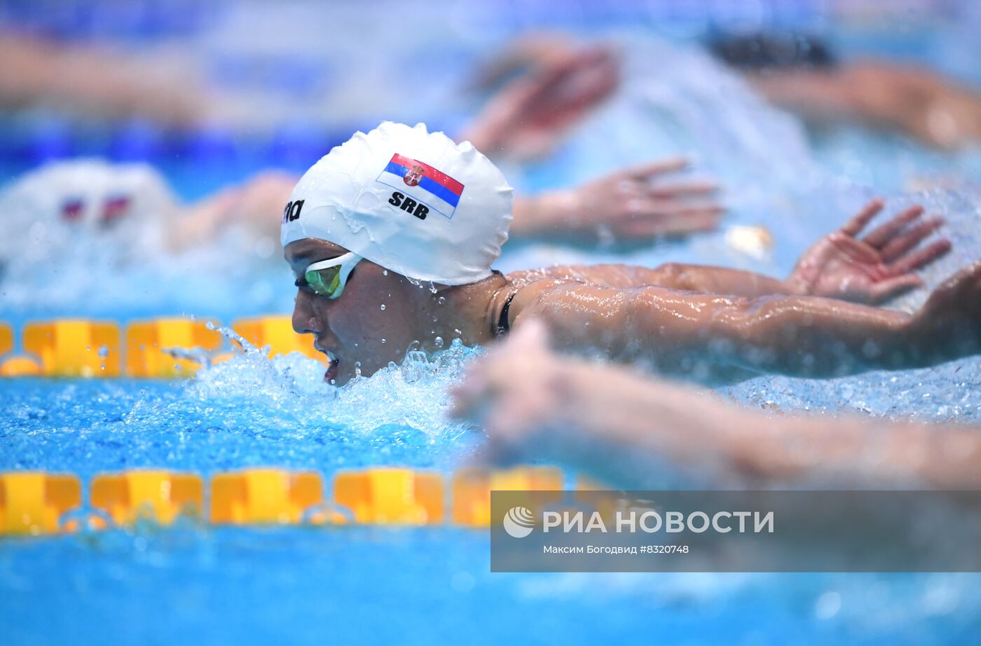 Плавание. Чемпионат России. Первый день