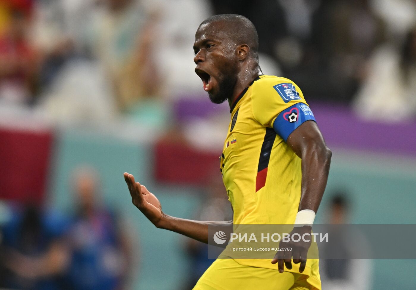 Футбол. Чемпионат мира. Матч Катар - Эквадор