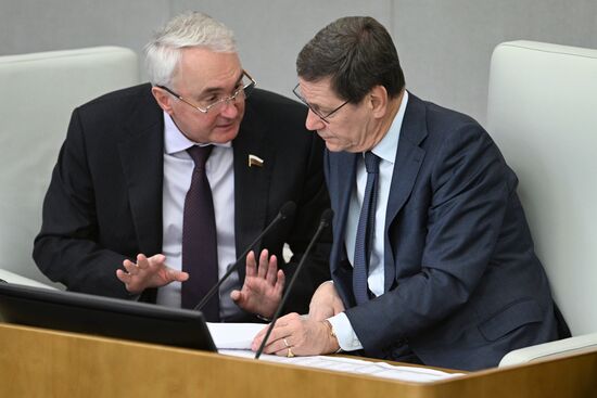 Пленарное заседание Госдумы РФ