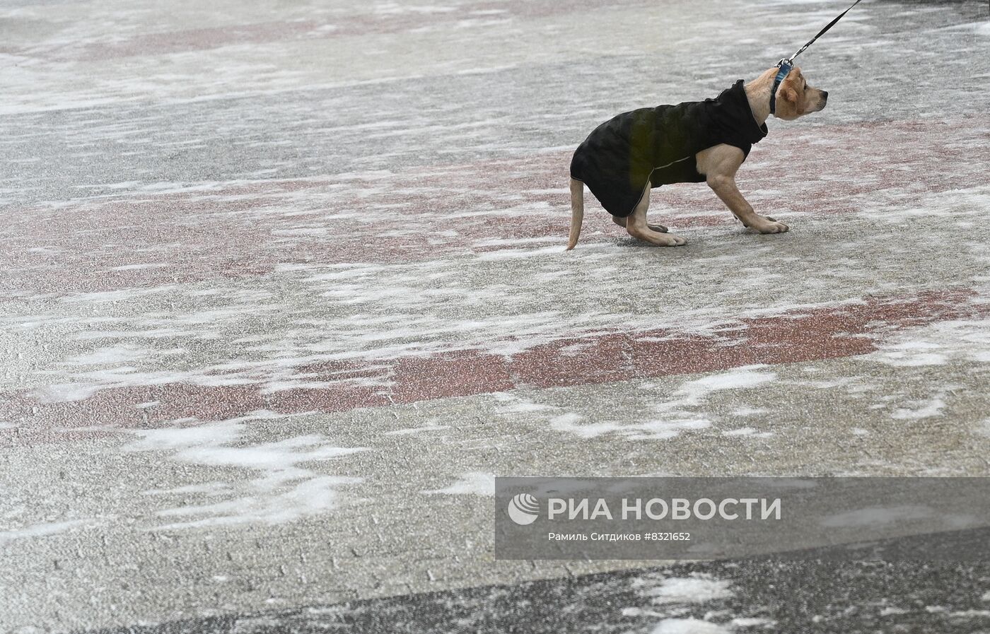 Ледяной дождь в Москве