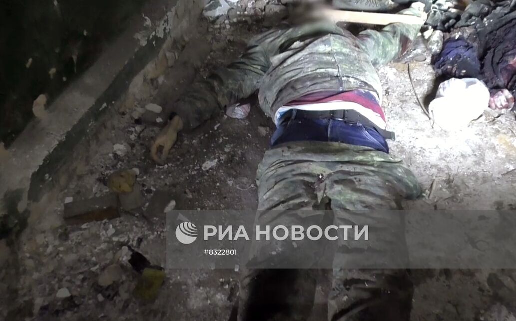 ФСБ РФ пресекла попытки совершения диверсии на военных и энергетических объектах Воронежской области