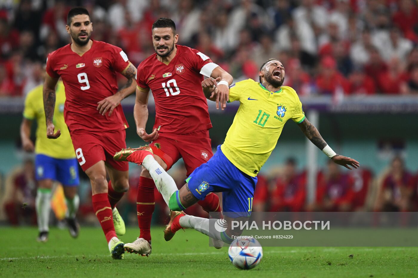 Футбол. Чемпионат мира. Матч Бразилия - Сербия