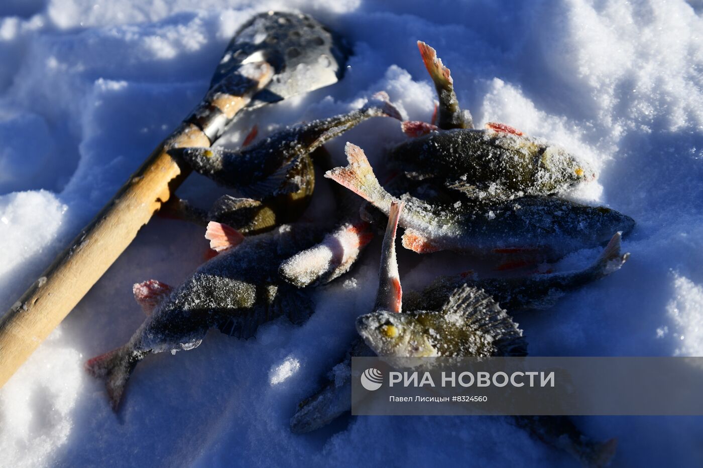 Подледная рыбалка в Свердловской области