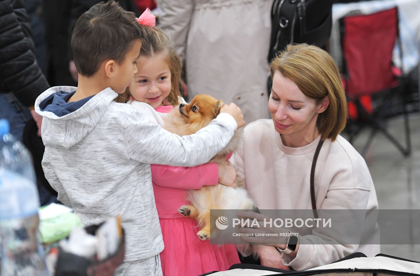 Выставки собак "Россия. Кубок РКФ 2020-2021" и "Россия. Кубок РКФ & Кубок Москвы-2022"