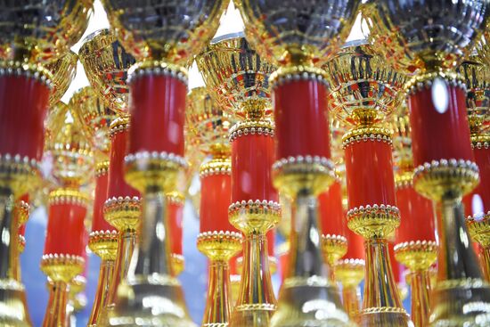 Выставки собак "Россия. Кубок РКФ 2020-2021" и "Россия. Кубок РКФ & Кубок Москвы-2022"