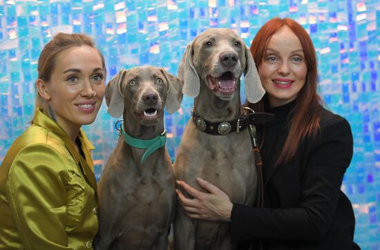 Выставки собак "Россия. Кубок РКФ 2020-2021" и "Россия. Кубок РКФ & Кубок Москвы-2022"