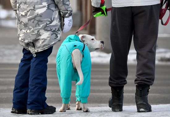 Морозы в Новосибирске