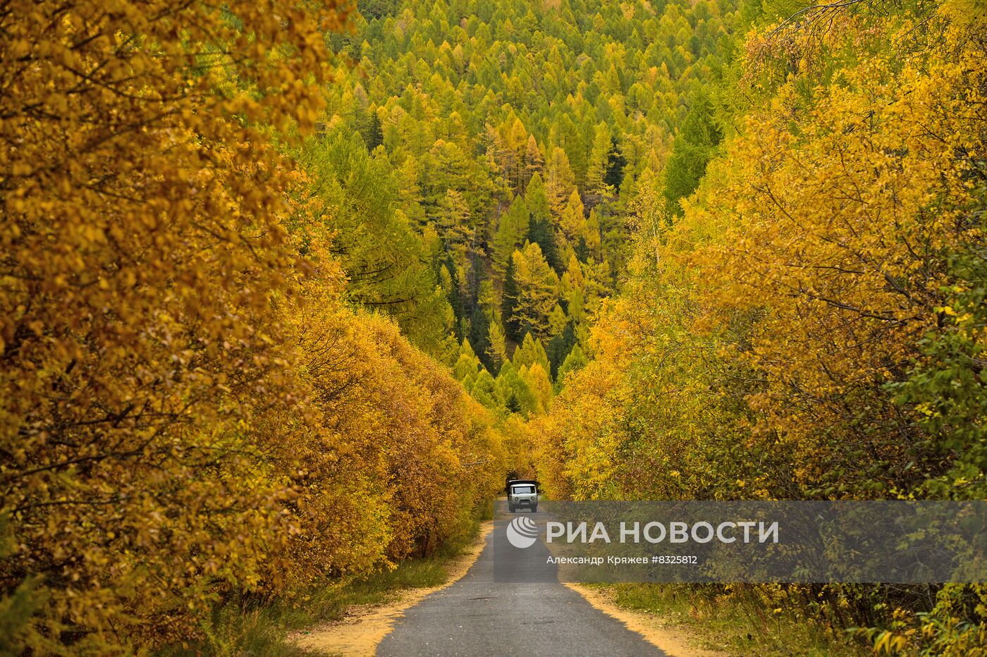 Лесная дорога в Республика Тыва