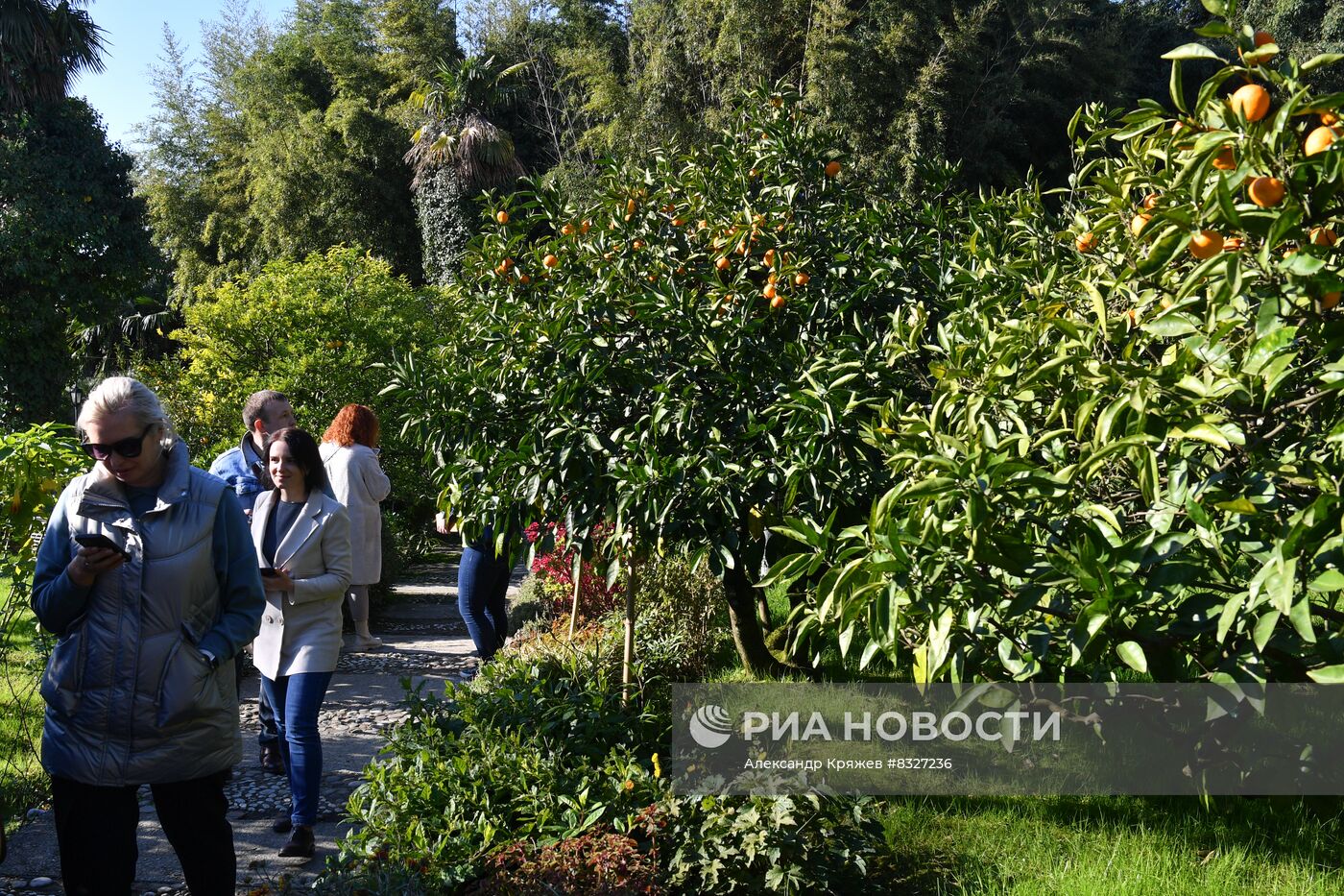 II КМУ-2022. Туристический маршрут "Путешествие в науку: Сочи"