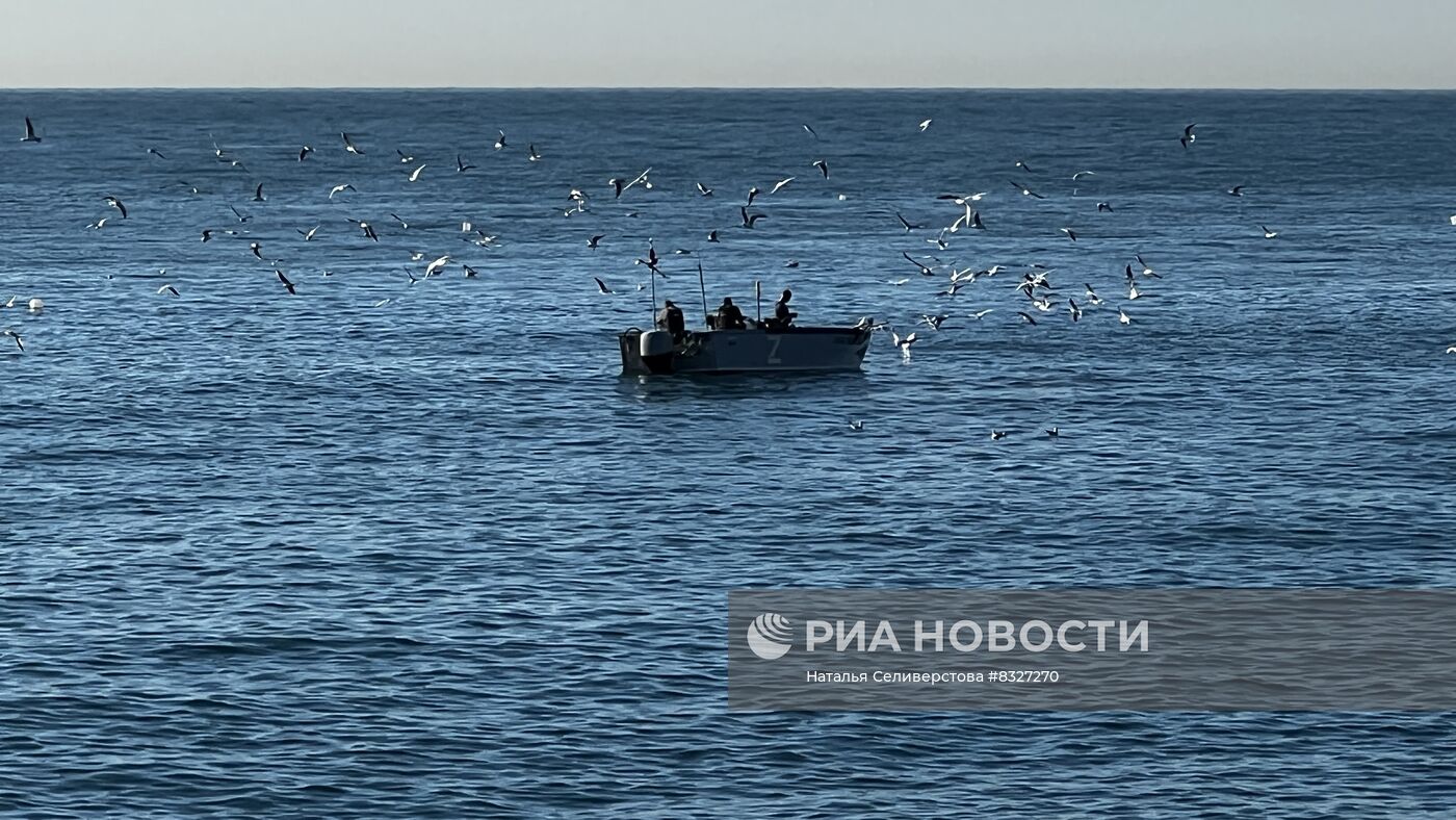 Подготовка к II Конгрессу молодых ученых в "Сириусе"