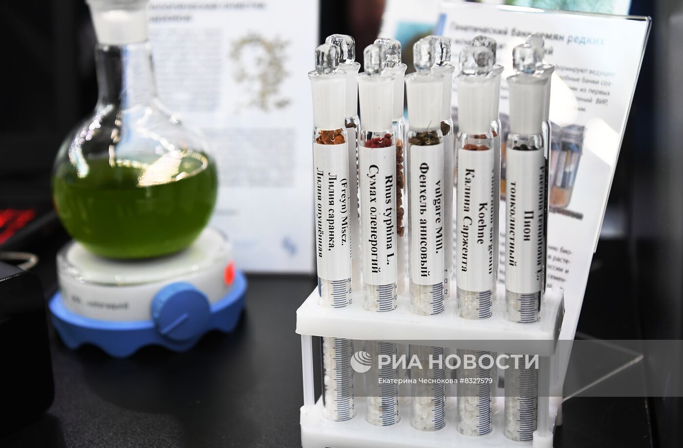 II КМУ-2022. Работа конгресса