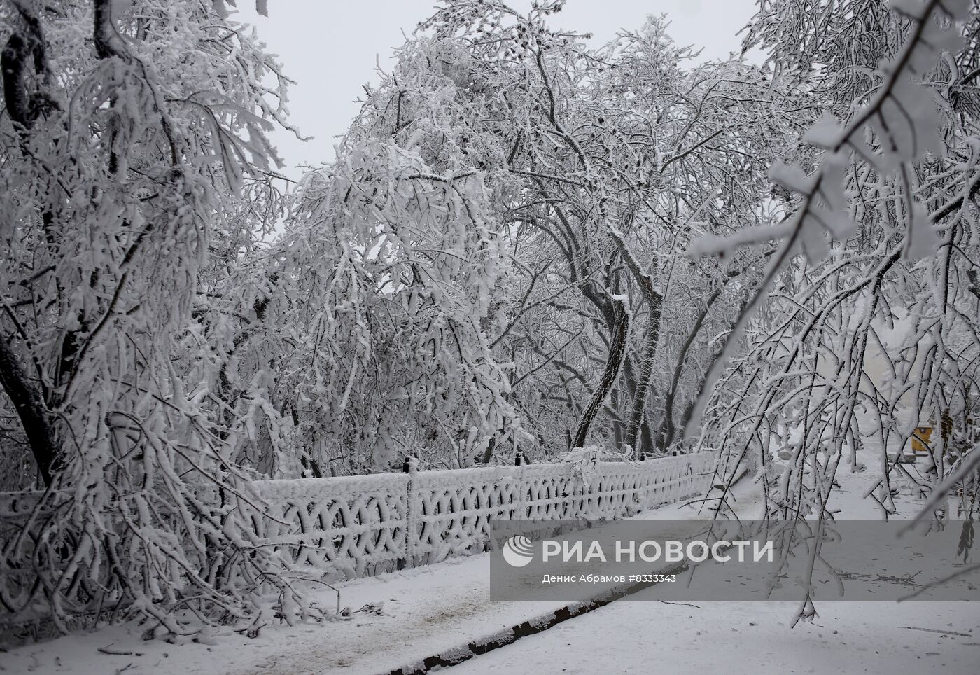 Обледенение деревьев в Ставропольском крае