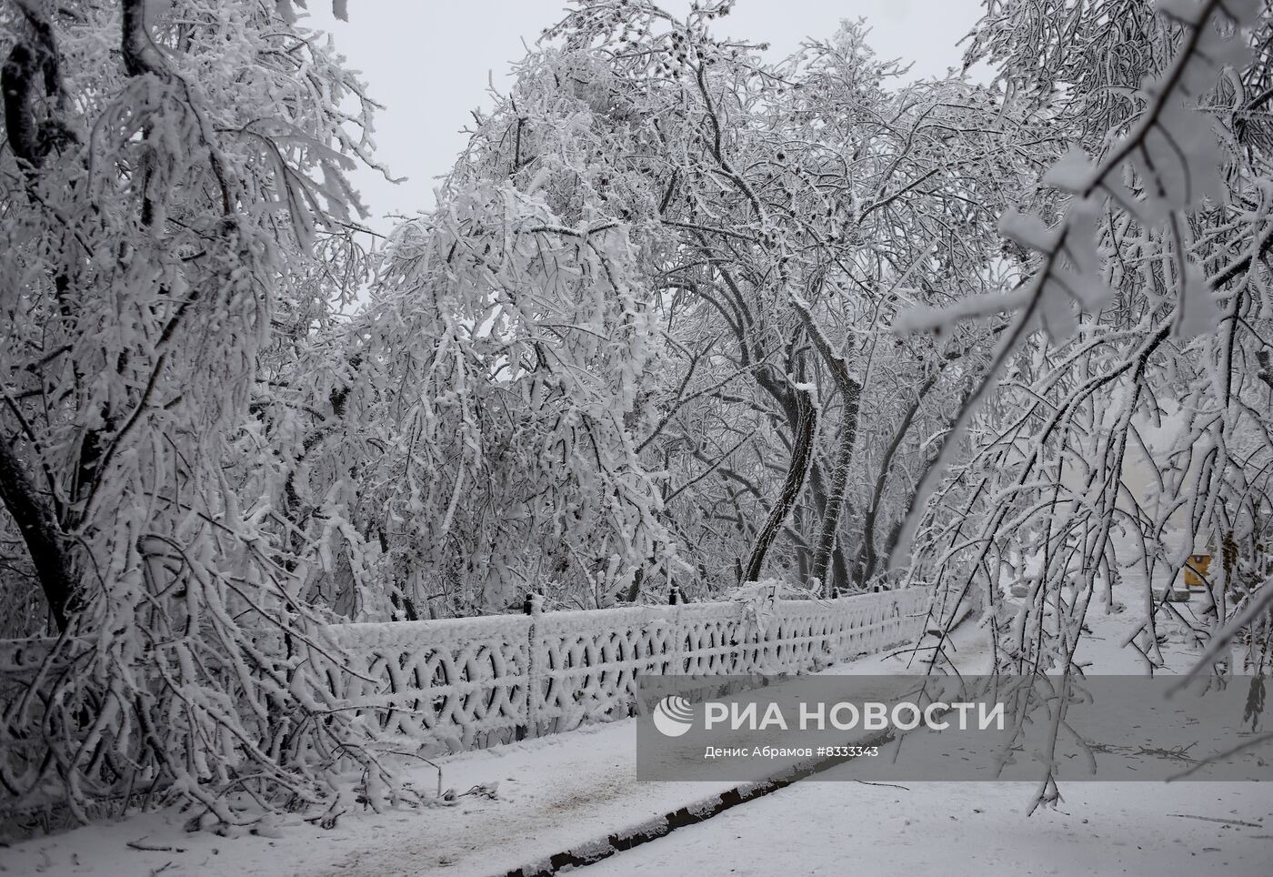 Обледенение деревьев в Ставропольском крае