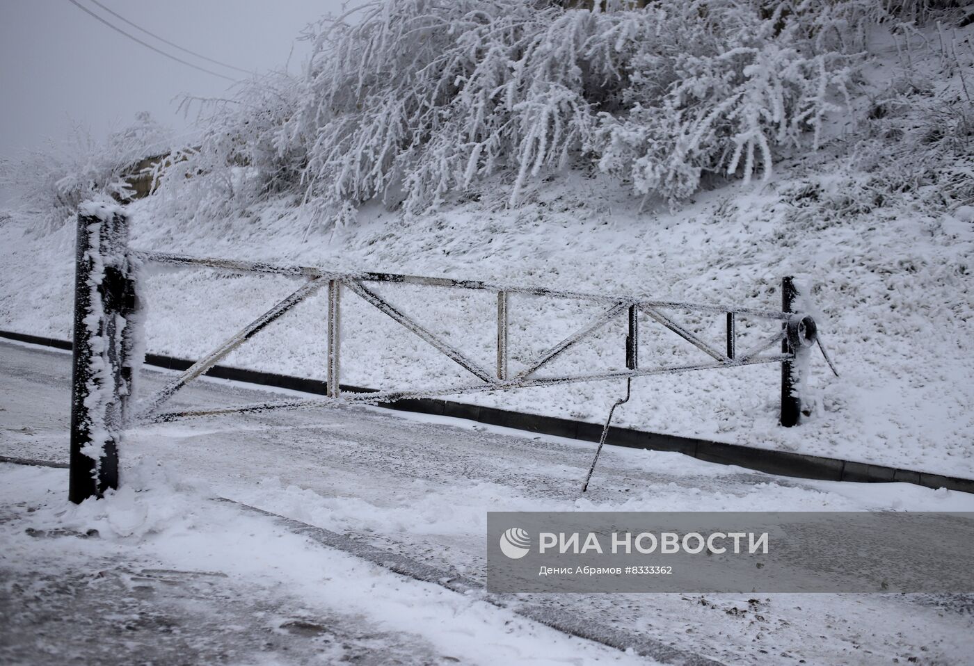 Обледенение деревьев в Ставропольском крае