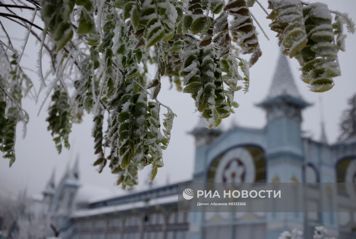 Обледенение деревьев в Ставропольском крае