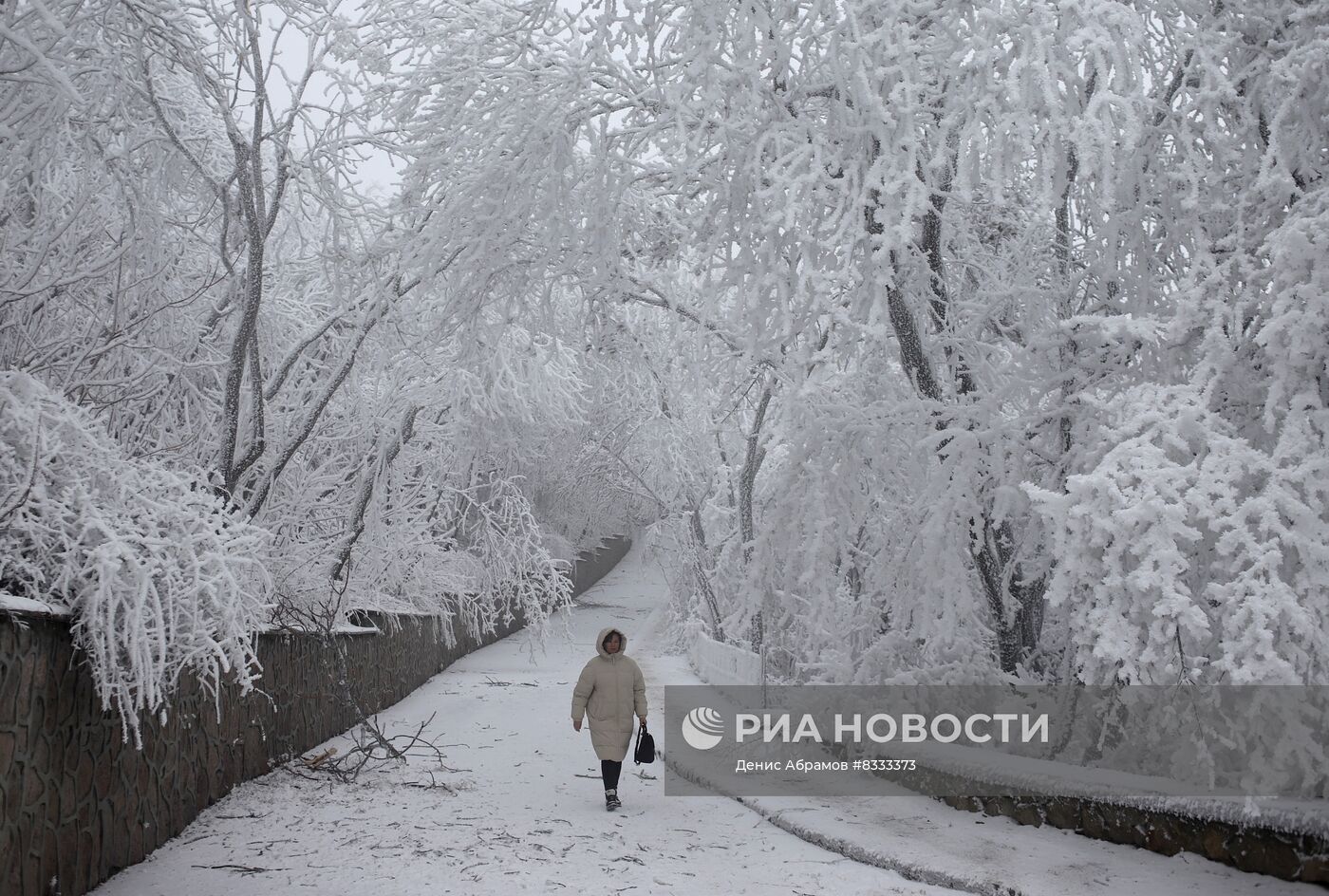 Обледенение деревьев в Ставропольском крае