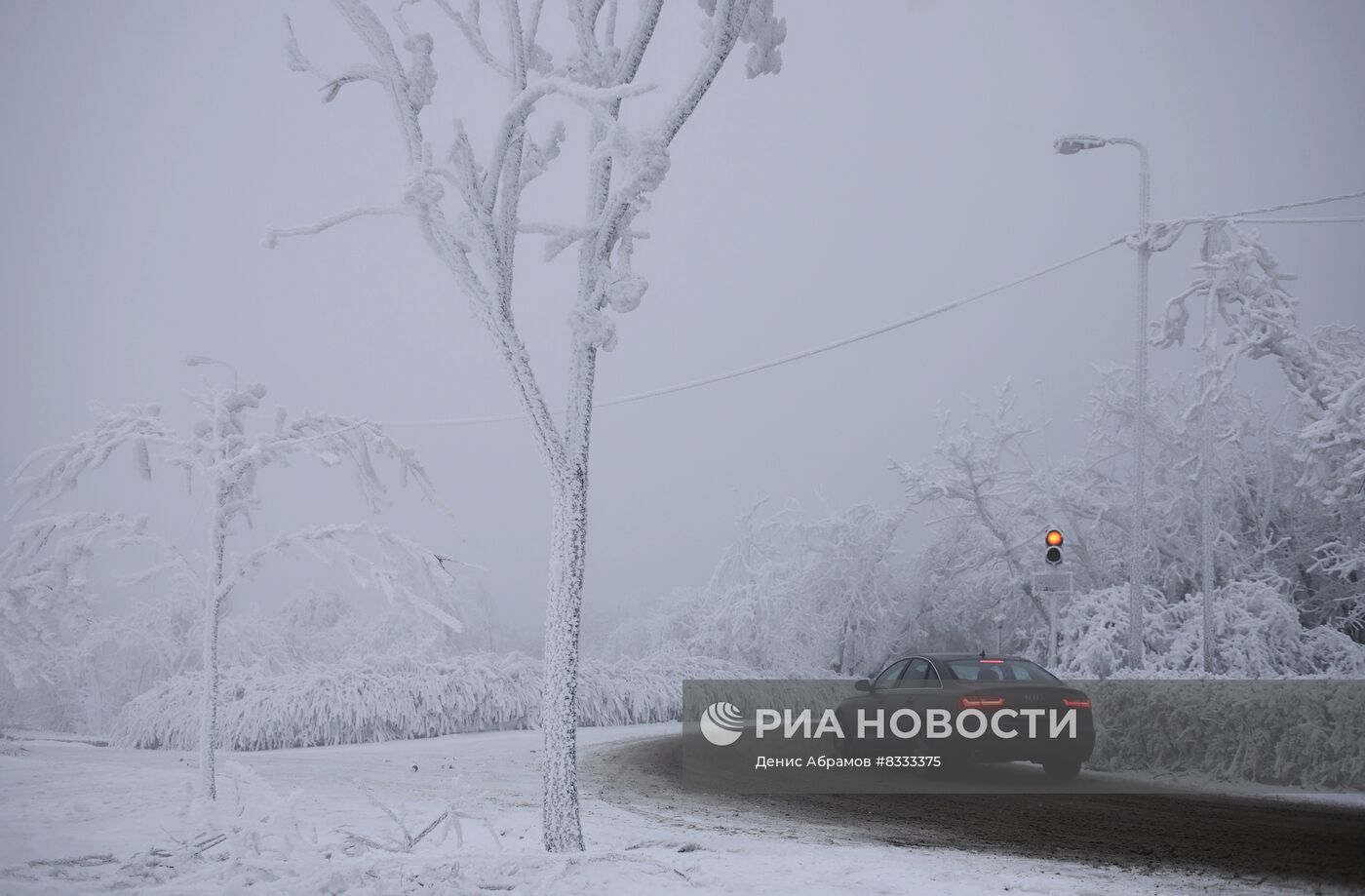 Обледенение деревьев в Ставропольском крае