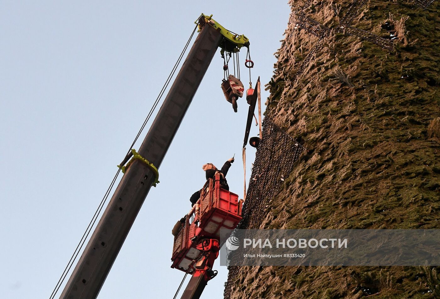 В Красноярске начался монтаж главной городской елки