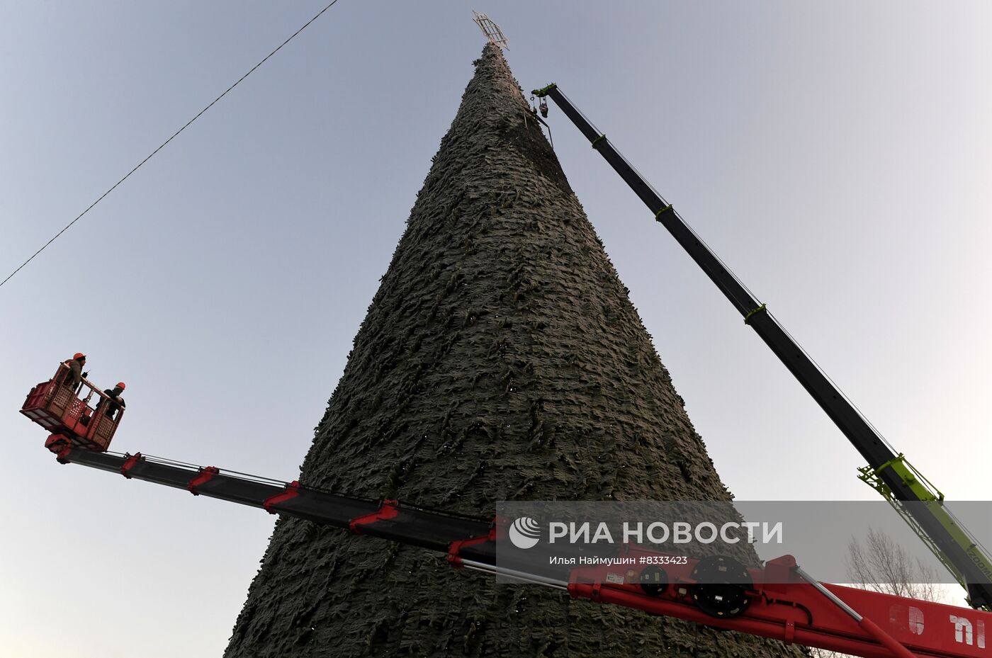 В Красноярске начался монтаж главной городской елки