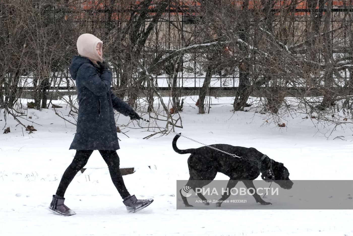 Снегопад в Санкт-Петербурге