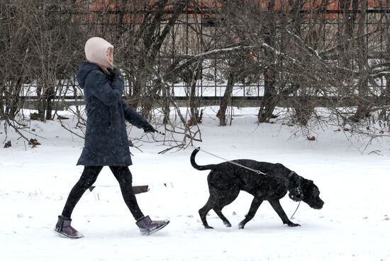 Снегопад в Санкт-Петербурге