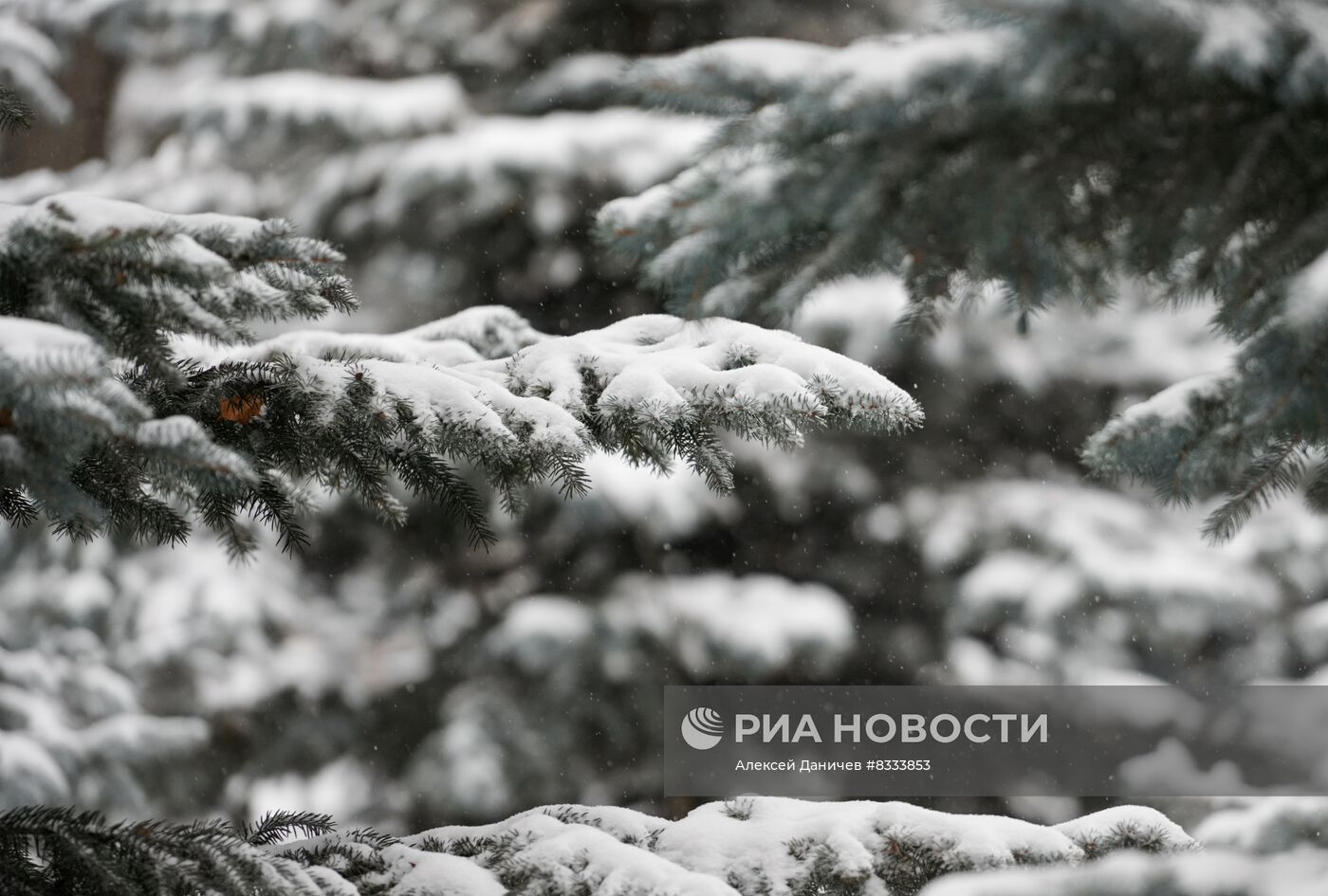 Снегопад в Санкт-Петербурге