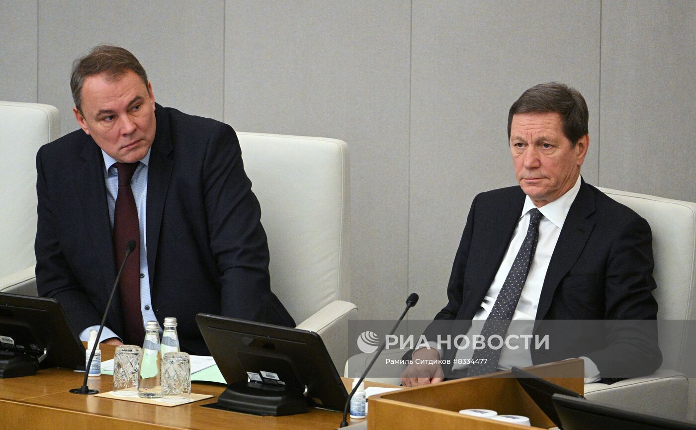 Пленарное заседание Госдумы РФ