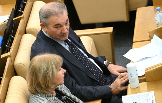 Пленарное заседание Госдумы РФ 