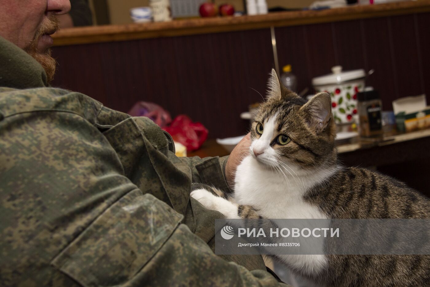 Добровольческий отряд "Крым" в Запорожской области