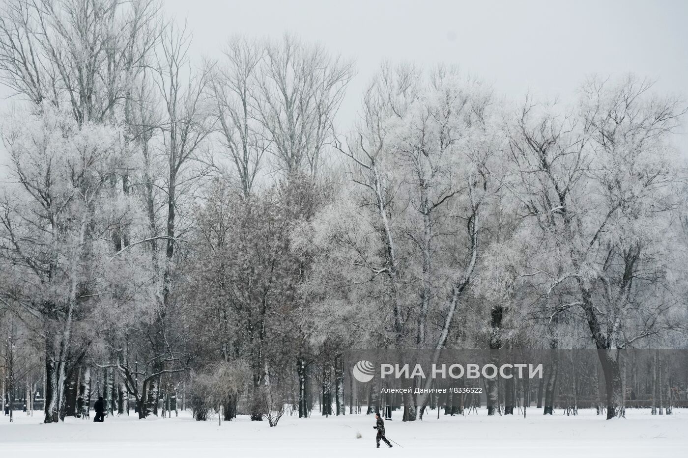 Заплыв клуба моржей в Парке Победы в Санкт-Петербурге