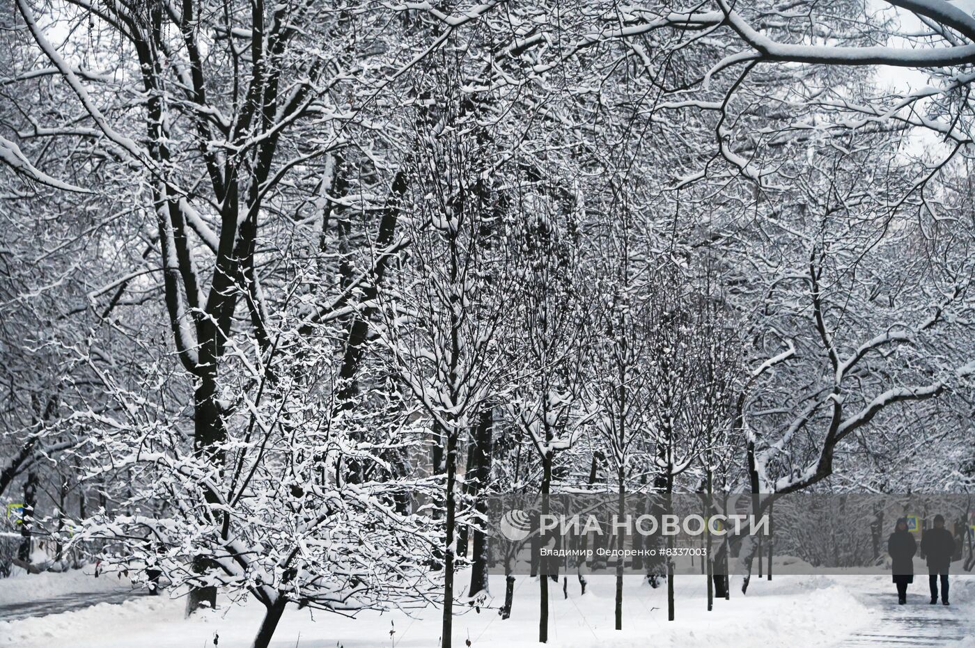 Снег в Москве