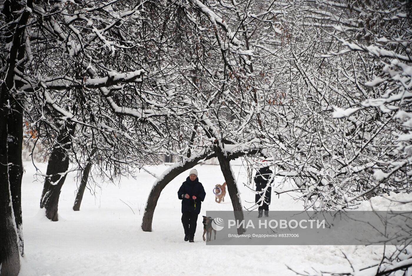 Снег в Москве